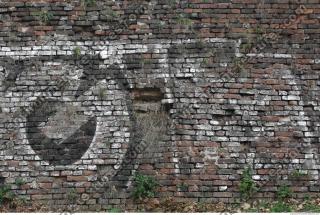 photo texture of wall brick overgrown 0001